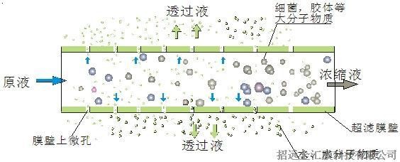 金匯超濾膜技術(shù)簡介-過濾原理