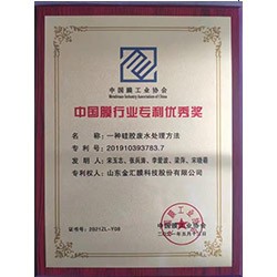 中國膜行業(yè)專利優(yōu)秀獎